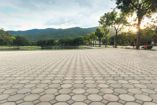 Best Driveway Pavers Installation  in Clara City, MN