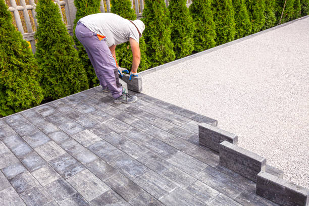 Best Decorative Driveway Pavers  in Clara City, MN