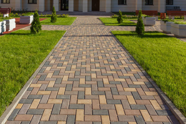 Best Custom Driveway Pavers  in Clara City, MN
