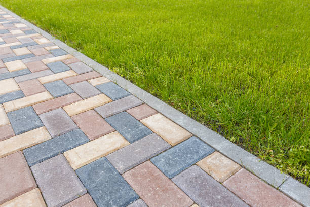 Best Professional Driveway Pavers  in Clara City, MN